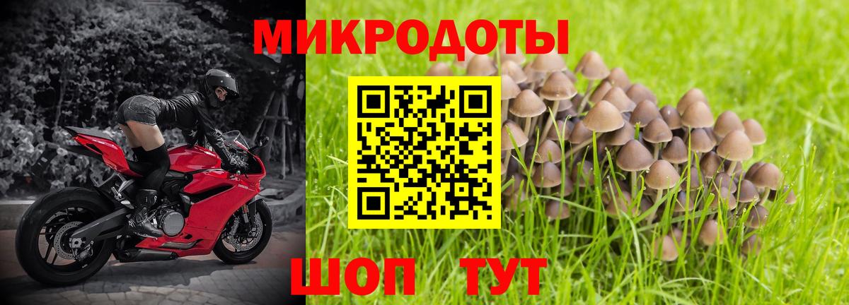 Галлюциногенные грибы Psilocybe Топки