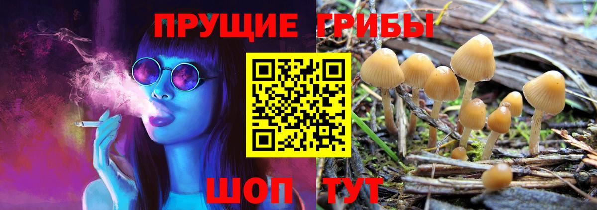 Галлюциногенные грибы мухоморы  Галлюциногенные грибы ЛСД  Вход с VPN  купить закладку  Топки 